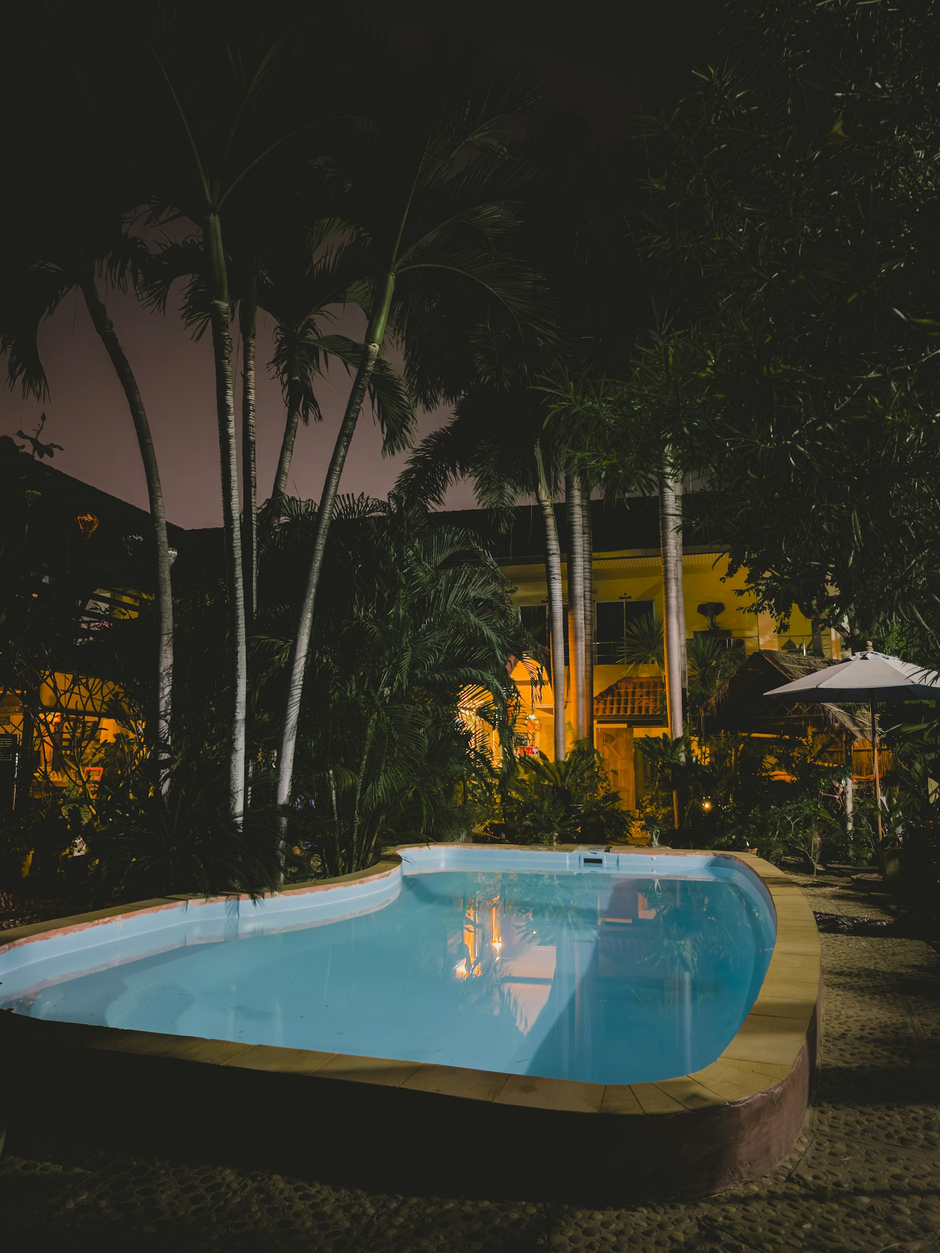 Piscine illuminée entourée de palmiers