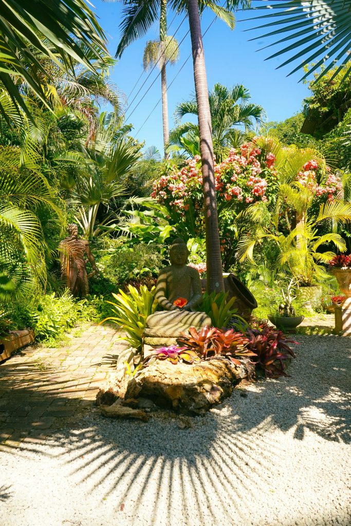 Jardin tropical